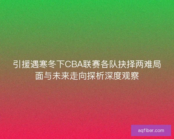 引援遇寒冬下CBA联赛各队抉择两难局面与未来走向探析深度观察