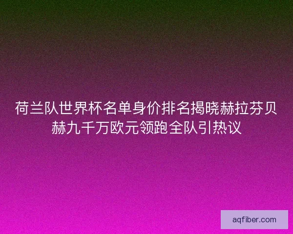 荷兰队世界杯名单身价排名揭晓赫拉芬贝赫九千万欧元领跑全队引热议