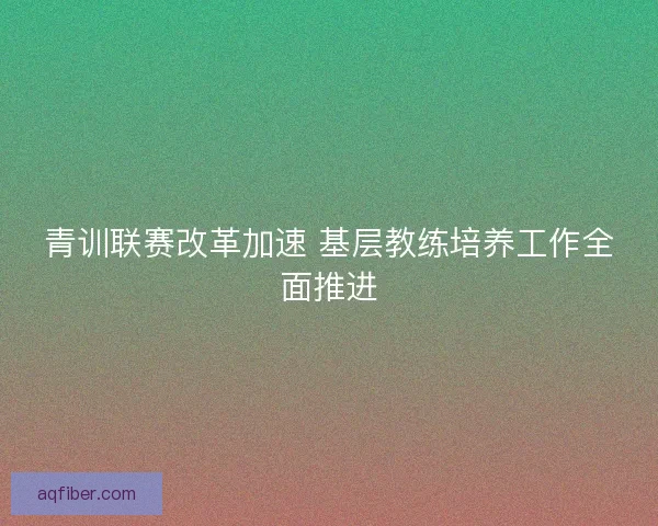 青训联赛改革加速 基层教练培养工作全面推进