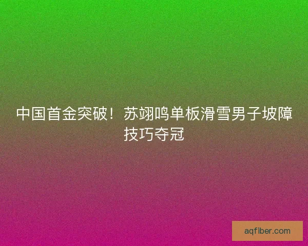 中国首金突破！苏翊鸣单板滑雪男子坡障技巧夺冠