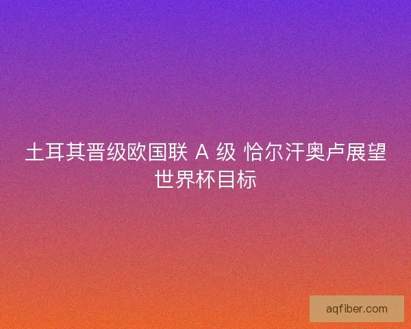 土耳其晋级欧国联 A 级 恰尔汗奥卢展望世界杯目标