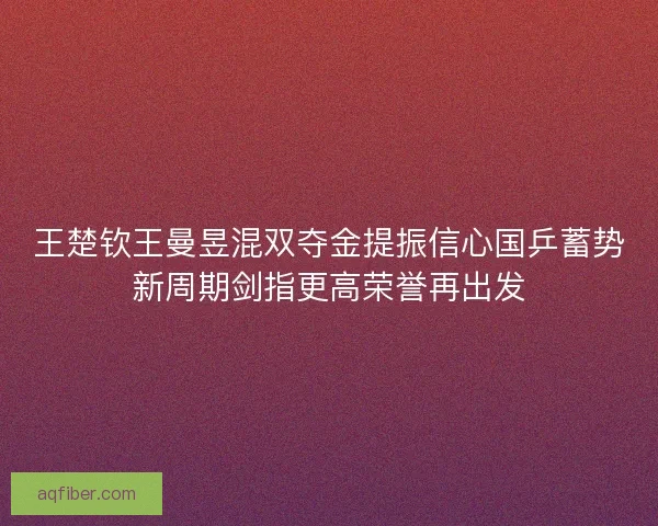 王楚钦王曼昱混双夺金提振信心国乒蓄势新周期剑指更高荣誉再出发
