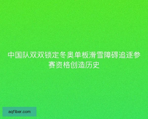 中国队双双锁定冬奥单板滑雪障碍追逐参赛资格创造历史